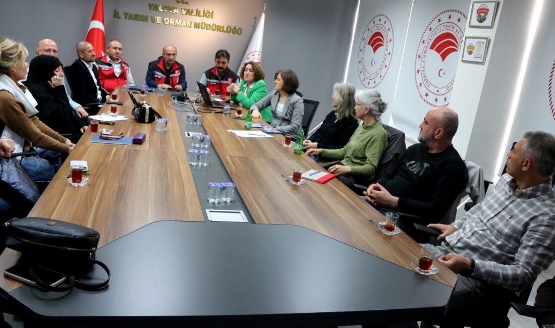 YALOVA / TEKHA Yalova