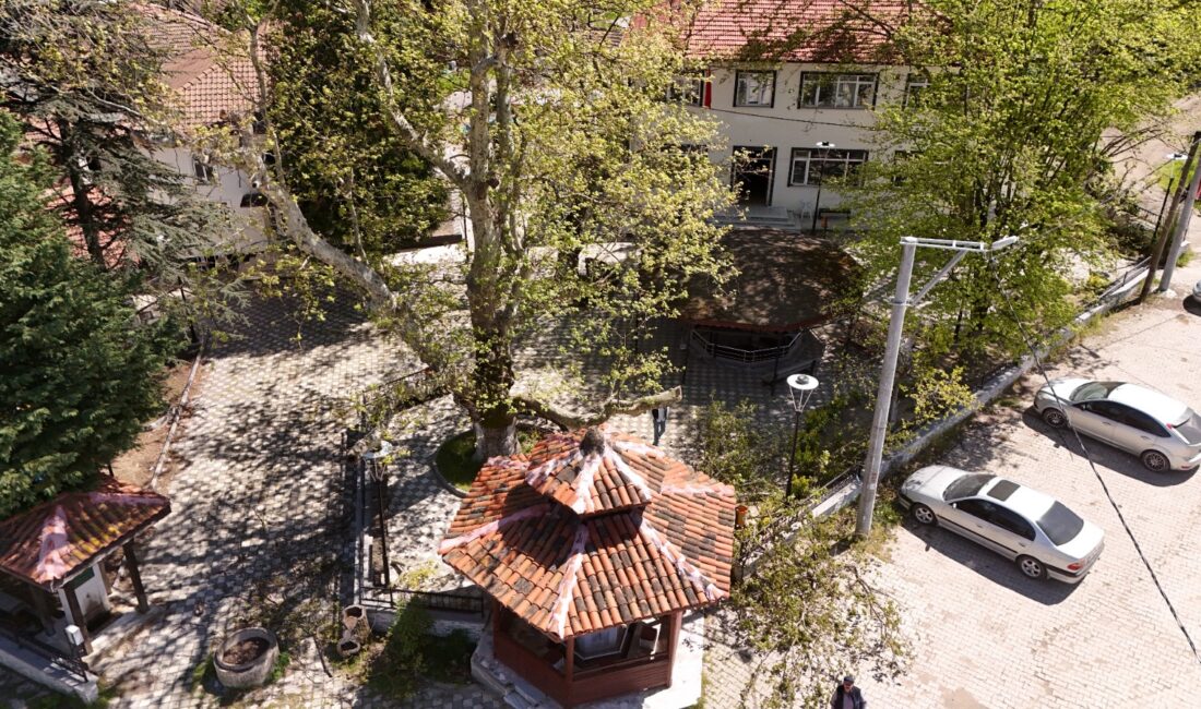 YALOVA / TEKHA Yalova