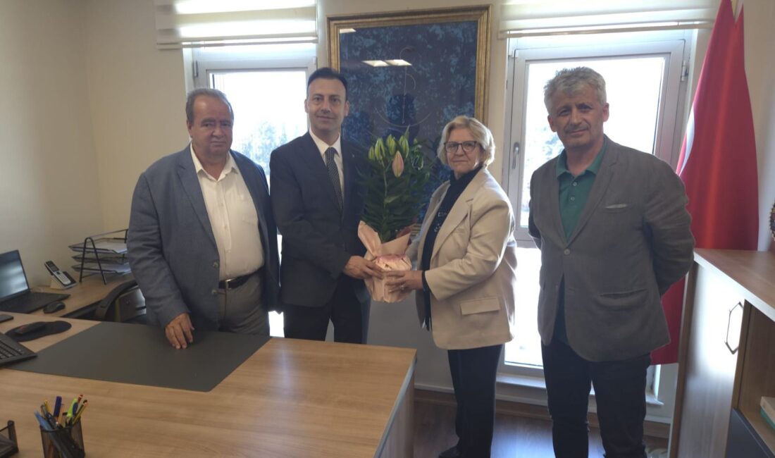 Yalova Güç Birliği Federasyonu