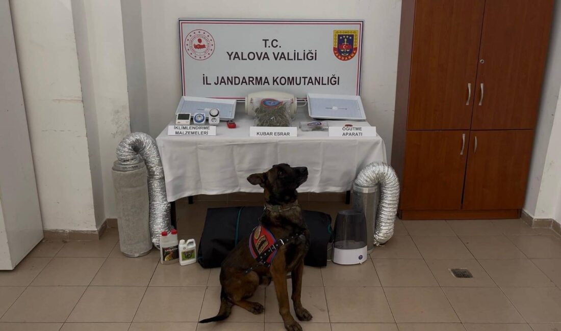Yalova İl Jandarma Komutanlığı