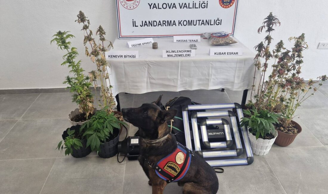 YALOVA / TEKHA Yalova