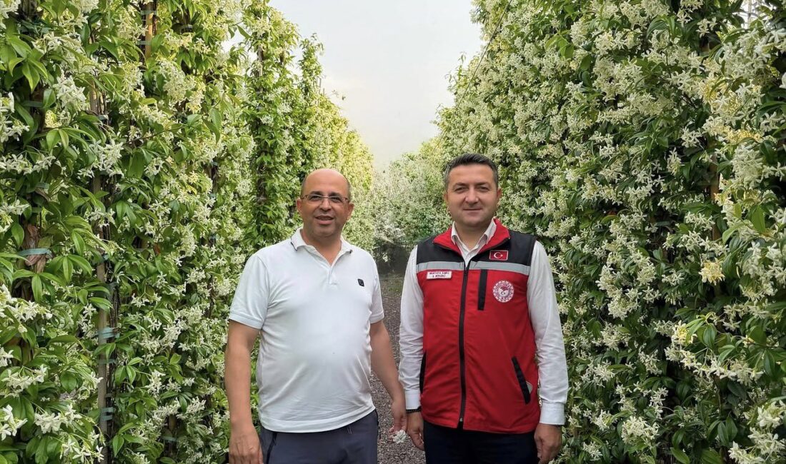 Antalya İl Tarım ve