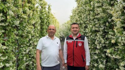 Antalya İl Tarım ve Orman