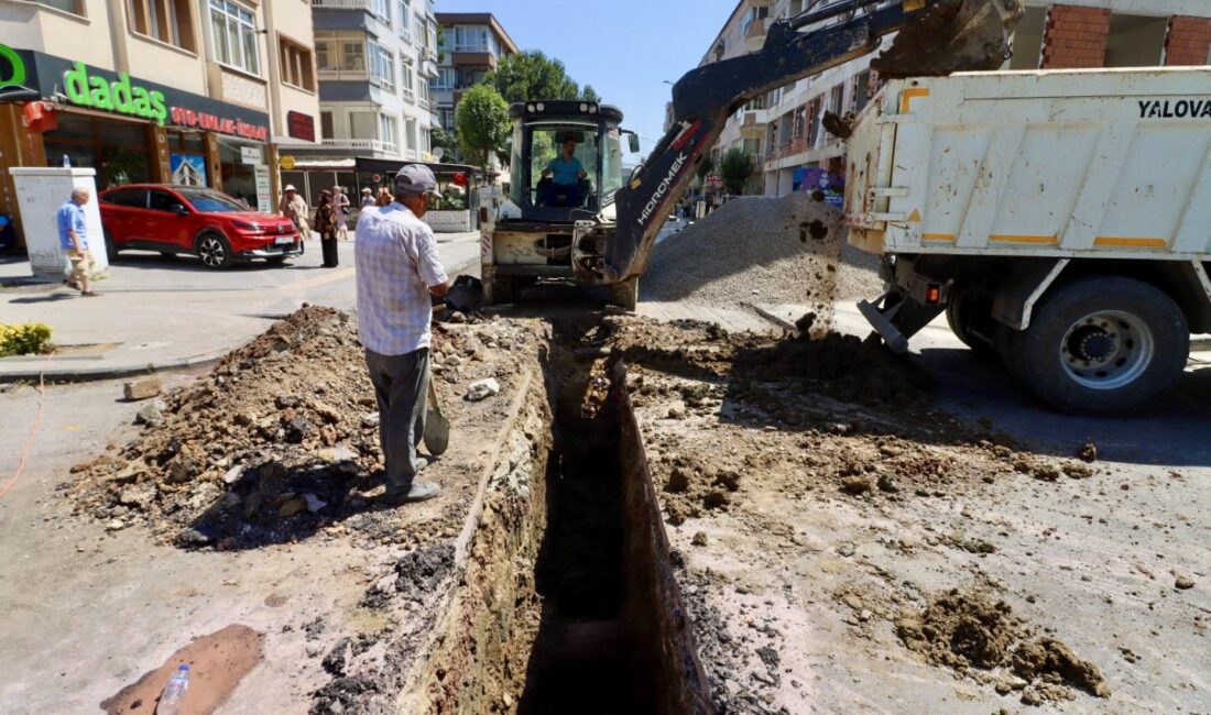 Yalova Belediyesi, şehir genelindeki