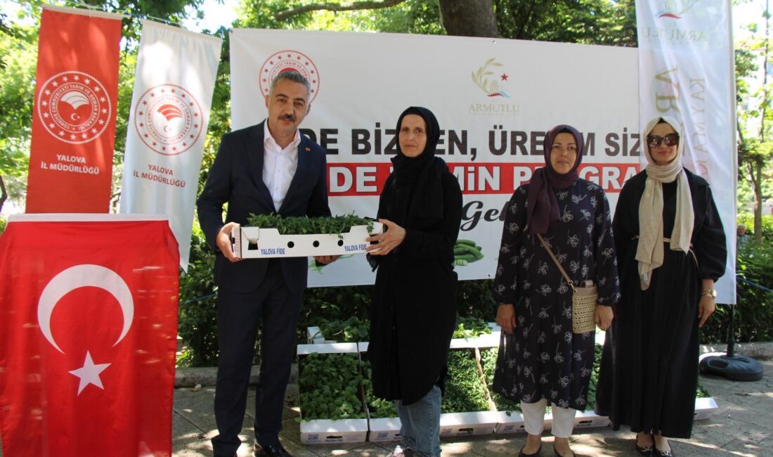 YALOVA / TEKHA Armutlu