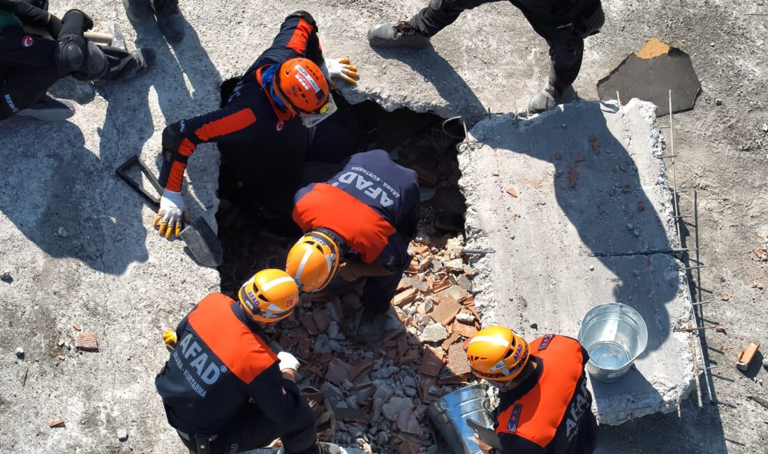 Düzce merkezli olarak gerçekleştirilen