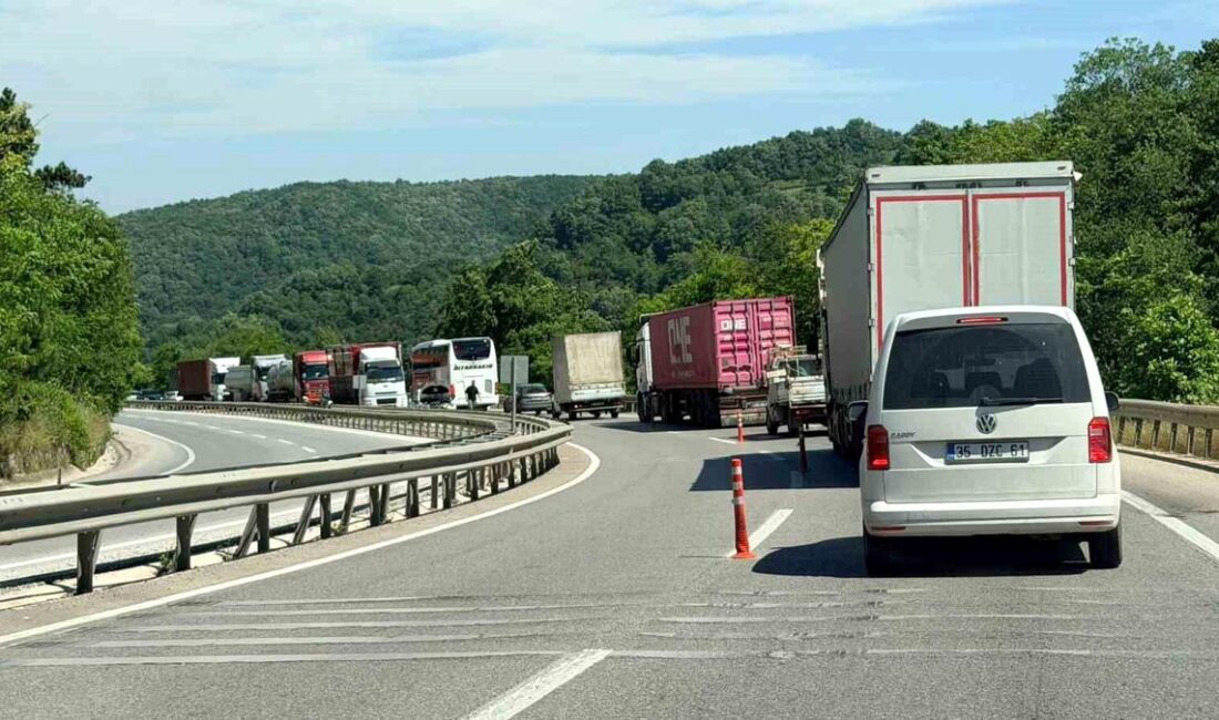 Yalova ile Bursa’yı birbirine