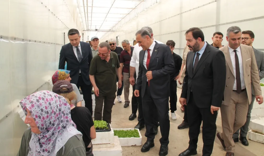 Yalova’da yerel tarımı güçlendirmek,