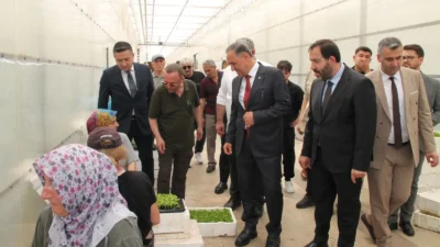Yalova’da yerel tarımı güçlendirmek, kırsal
