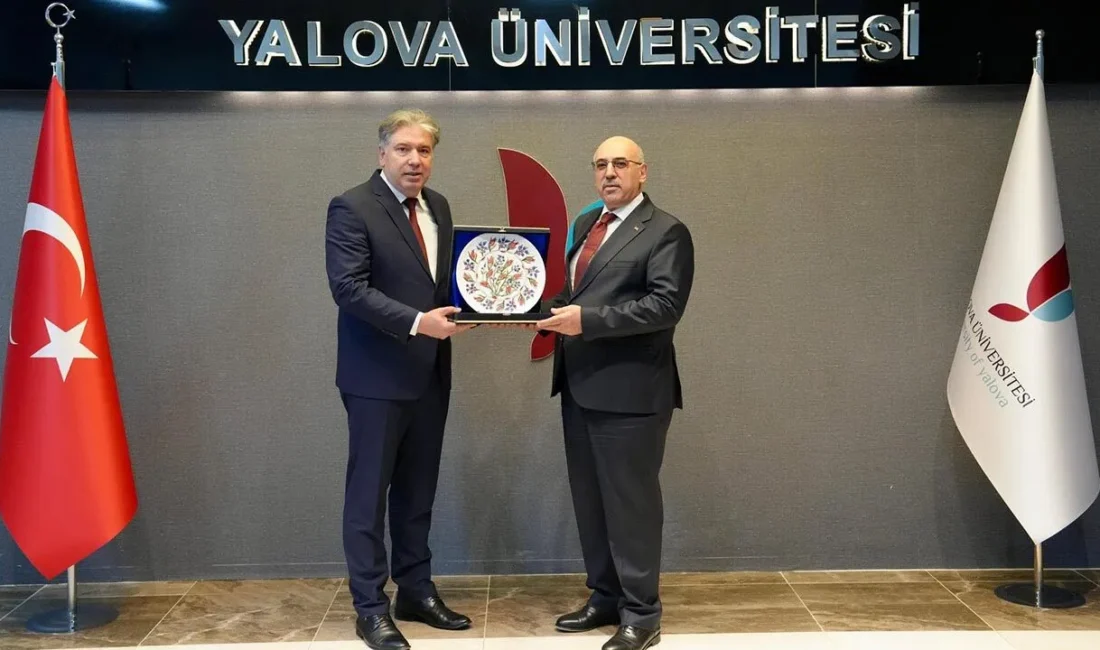 Yalova Üniversitesi, üst düzey