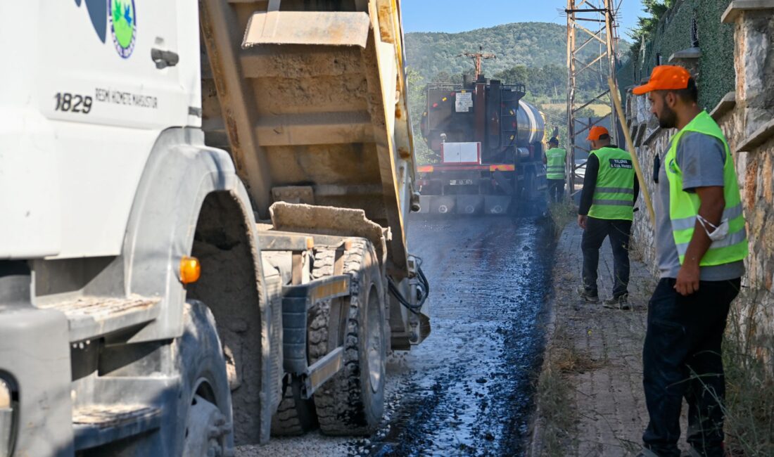 Yalova genelindeki kırsal ulaşım