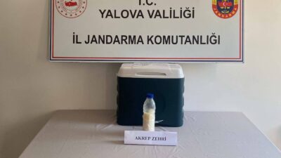 Jandarmadan kaçakçılığa büyük darbe Yalova
