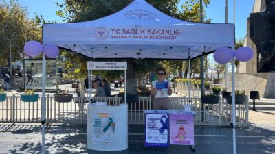 Yalova İl Sağlık Müdürlüğü, 3-9