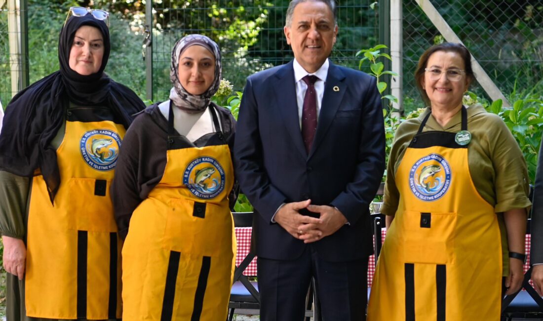 Yalova Valisi Dr. Ahmet Hamdi