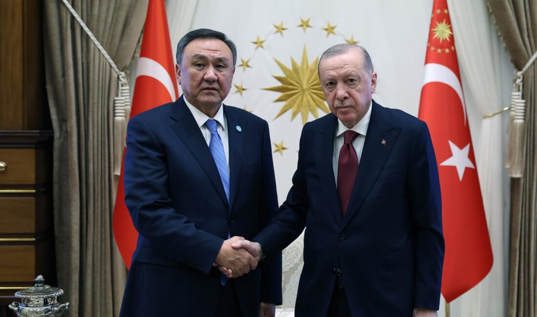 ANKARA / TEKHA Cumhurbaşkanı