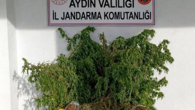 AYDIN / TEKHA Aydın’ın İncirliova