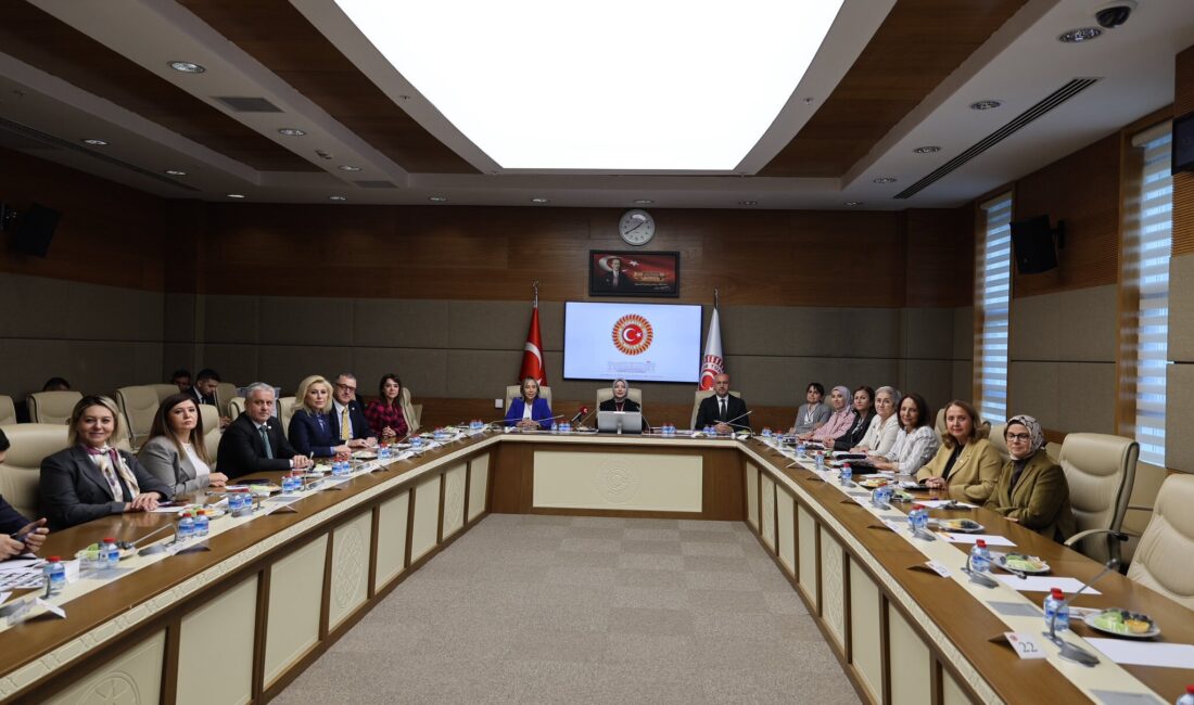 ANKARA / TEKHA Türkiye