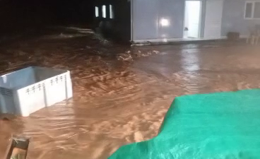 KOCAELİ / TEKHA Kocaeli genelinde