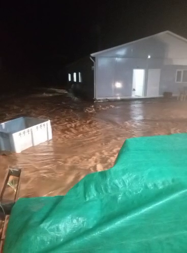 KOCAELİ / TEKHA Kocaeli