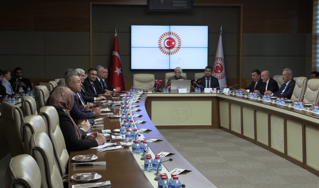 ANKARA / TEKHA TBMM