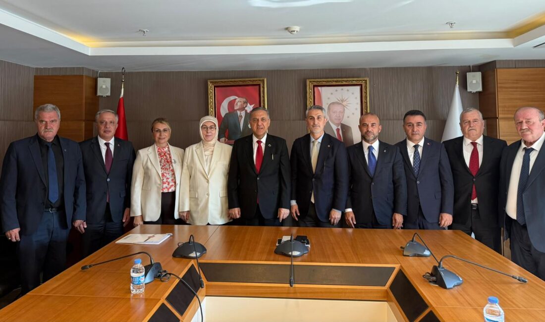Yalova’nın merkez, ilçe, belde