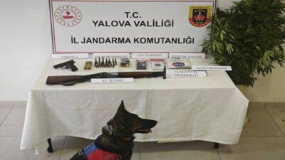 Yalova İl Jandarma Komutanlığı Narkotik