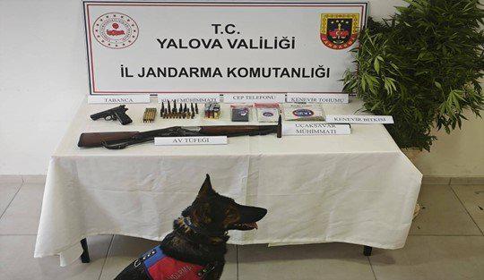 Yalova İl Jandarma Komutanlığı