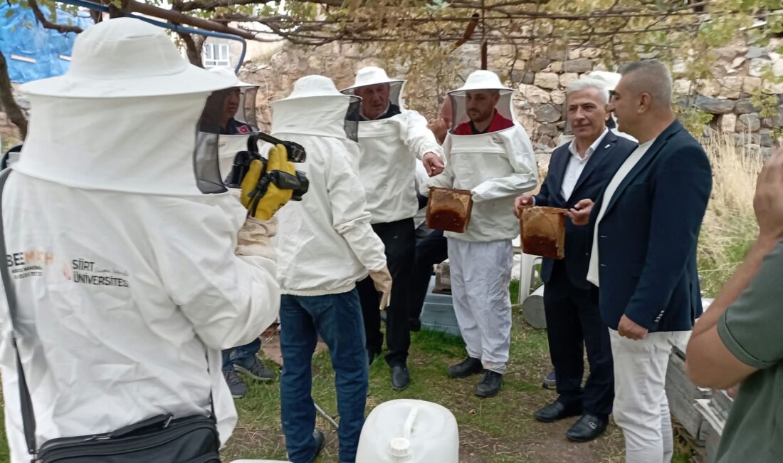 Siirt’in Baykan İlçesinde Bal Hasadı Gerçekleştirildi